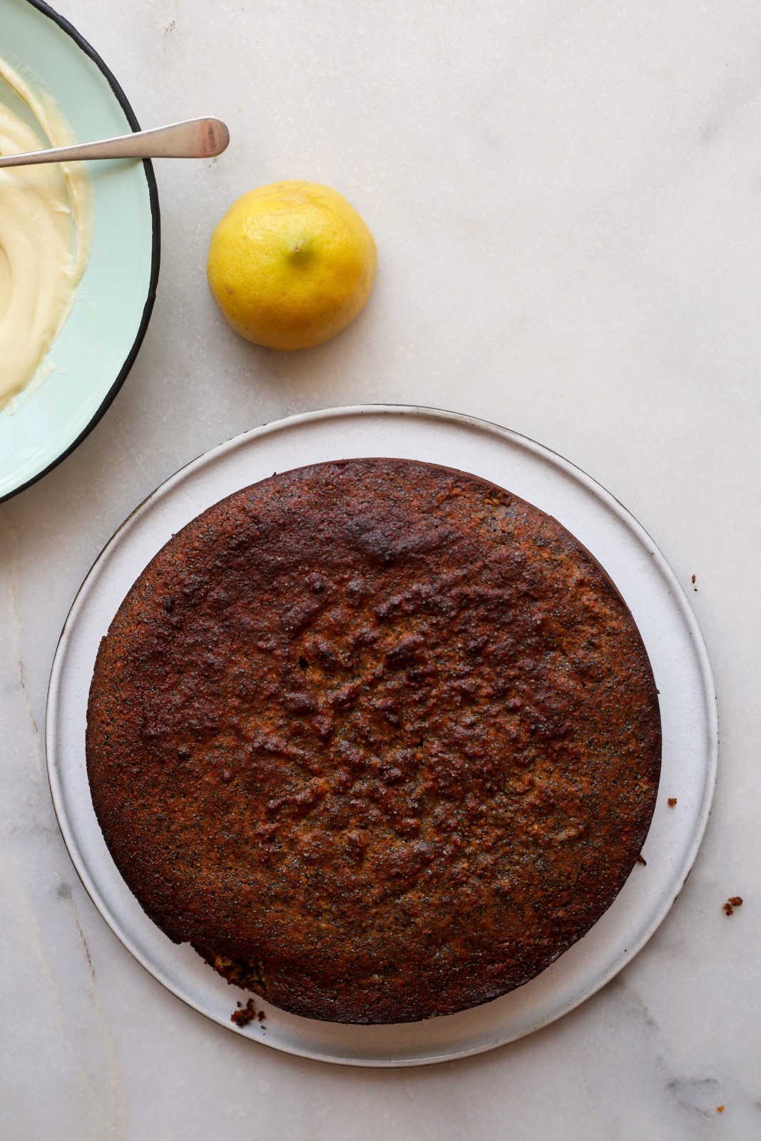 plain-lemon-poppy-cake